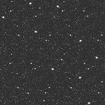 Galerie Wallcoverings Product Code G78407 - Tiny Tots 2 Wallpaper Collection - Black Glitter Colours -  