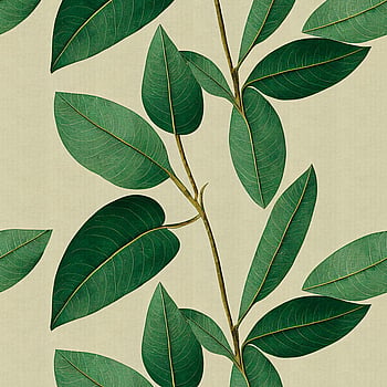 Galerie Wallcoverings Product Code WH45233M - Welcome Home Murals Wallpaper Collection - Cream, Yellow, Green Colours -  